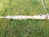 image of grave number 633530